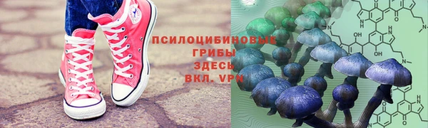 ГАЛЛЮЦИНОГЕННЫЕ ГРИБЫ Балашиха