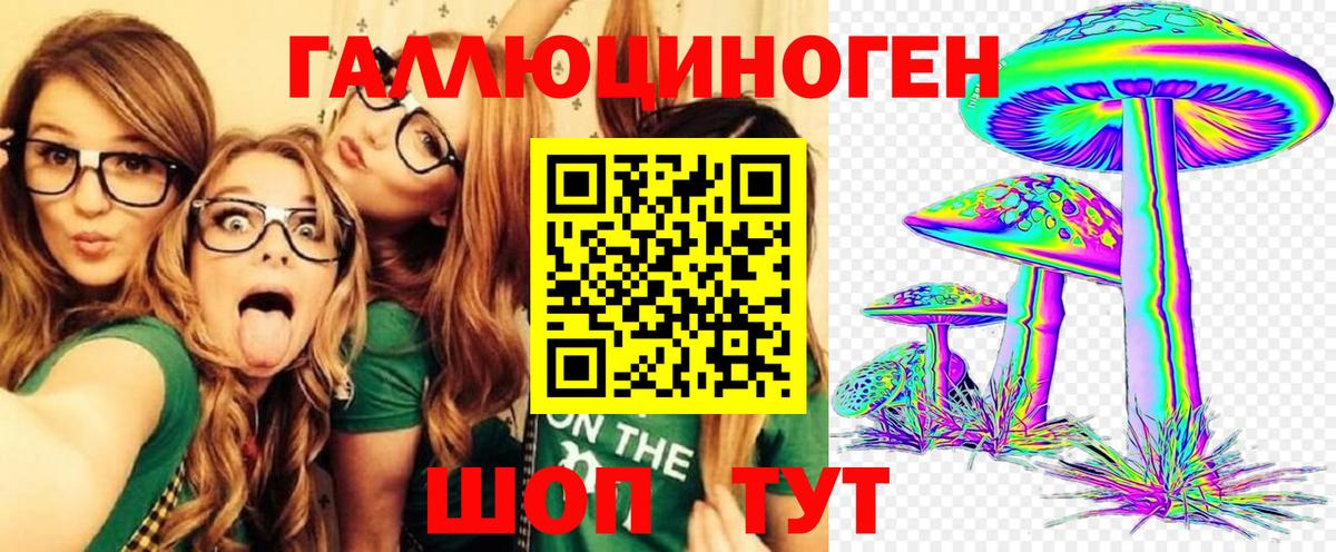 Псилоцибиновые грибы Psilocybine cubensis  Бугульма 