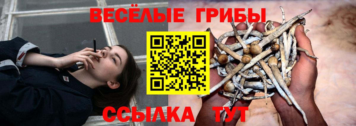 Галлюциногенные грибы Magic Shrooms  Вход с VPN  Псилоцибиновые грибы Psilocybe  Бугульма 